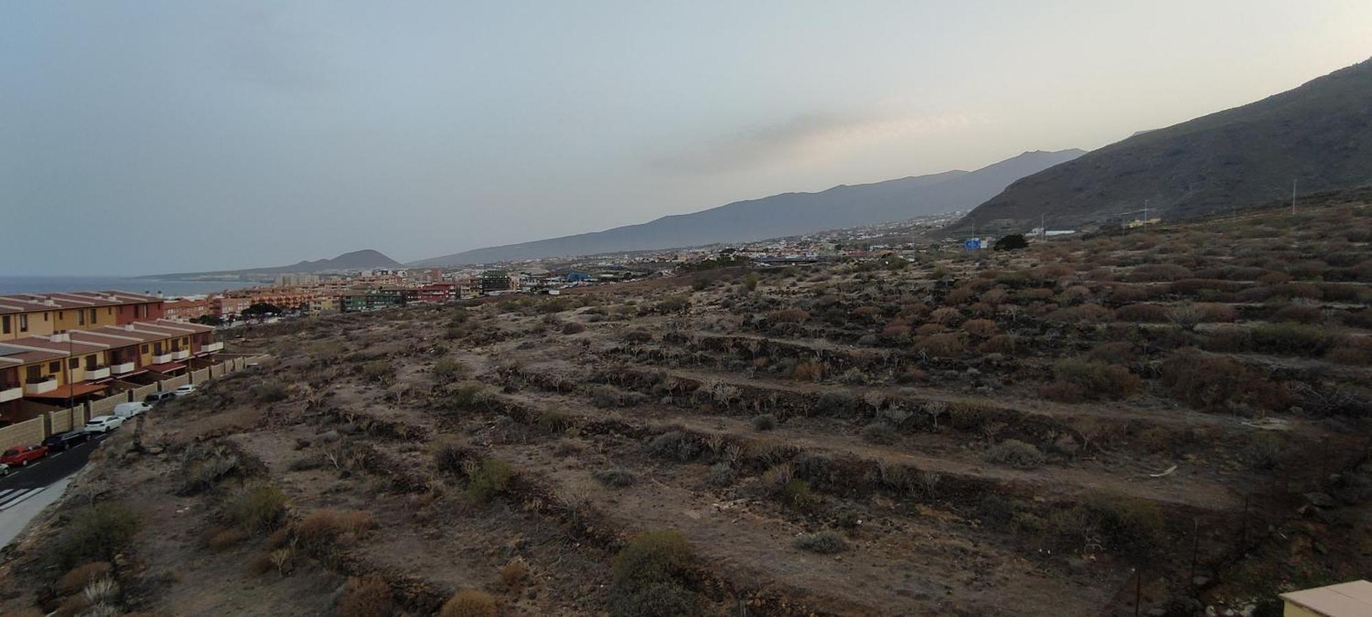 Sunlivetenerife كانديلاريا المظهر الخارجي الصورة